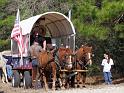 047-Amish Ponies
